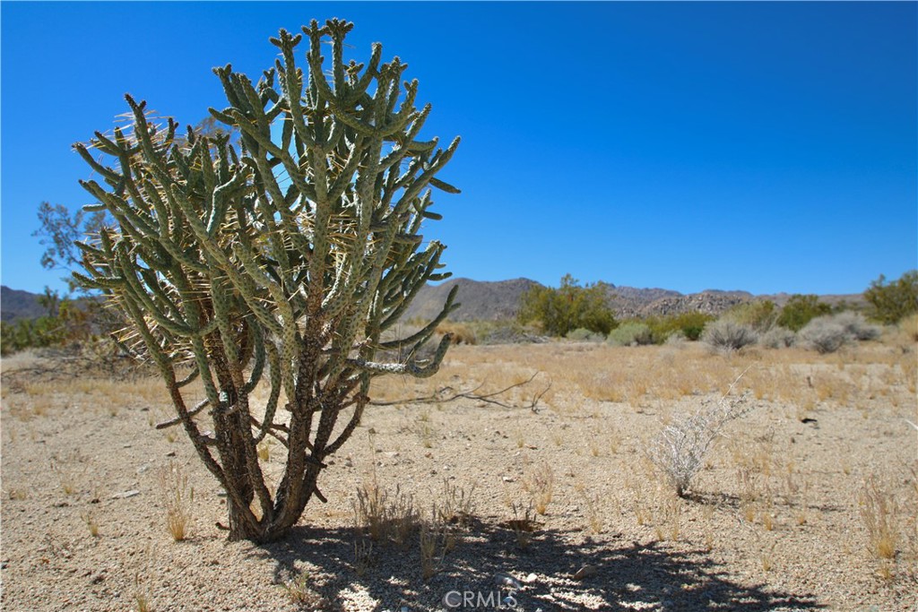 66400 29 Palms Highway Property Photo 19