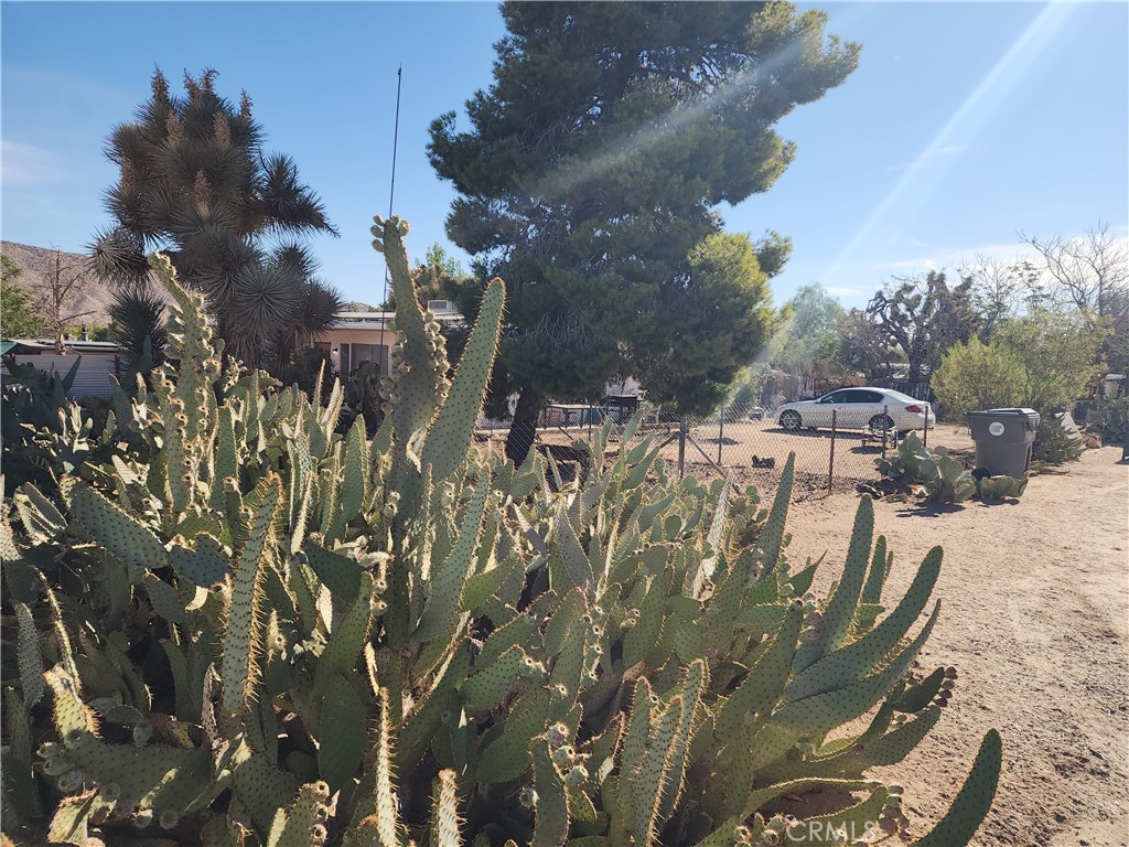 7791 Mariposa Trail Property Photo 6
