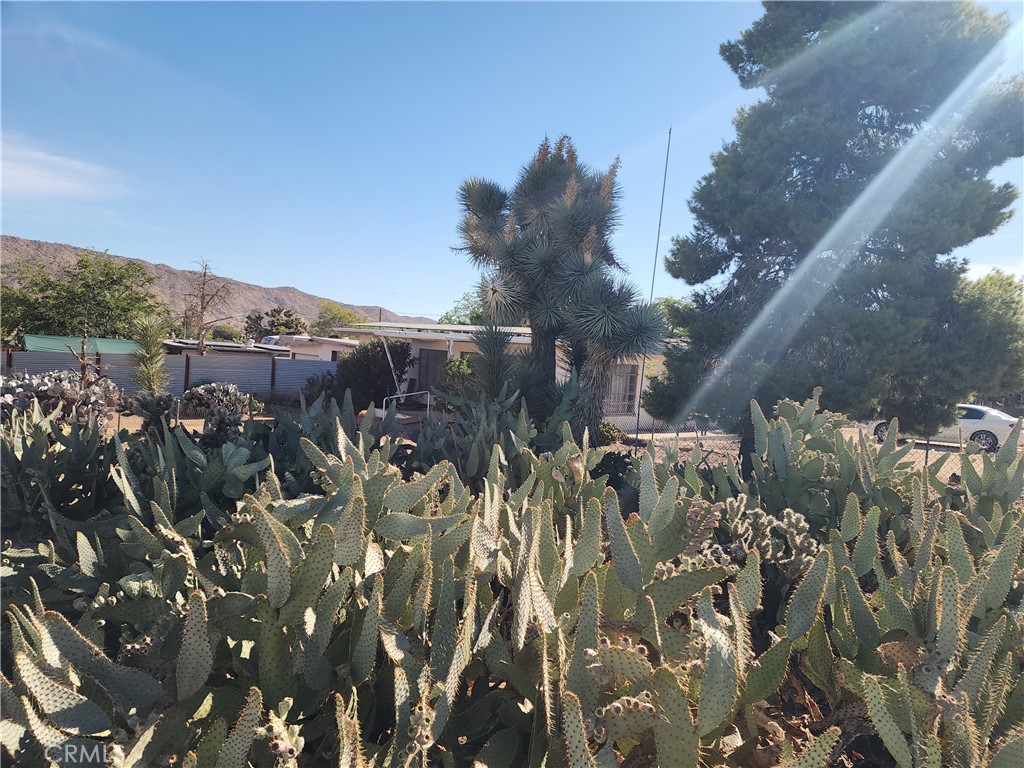 7791 Mariposa Trail Property Photo 7