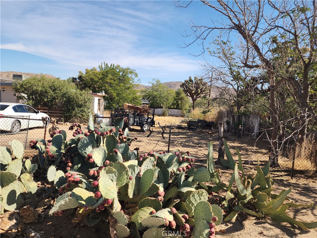 7791 Mariposa Trail Property Photo 8