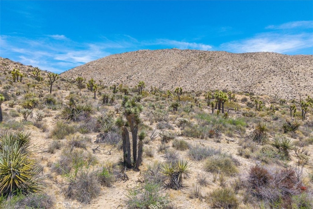 55652 Buena Vista Drive Property Photo 1