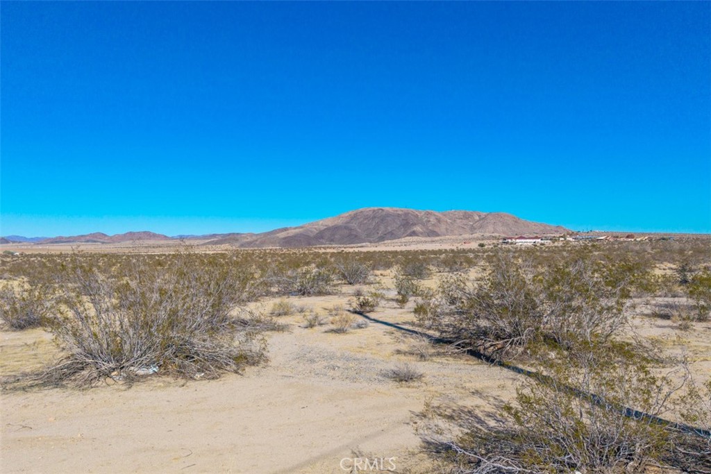 65810 29 Palms Property Photo 4