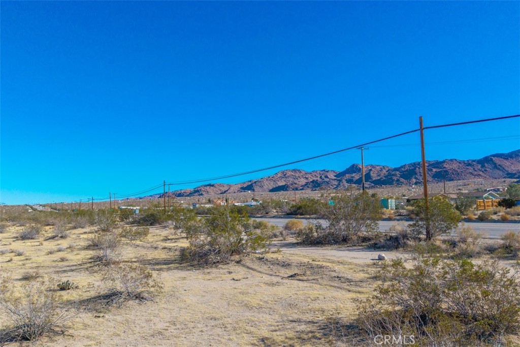 65810 29 Palms Property Photo 19