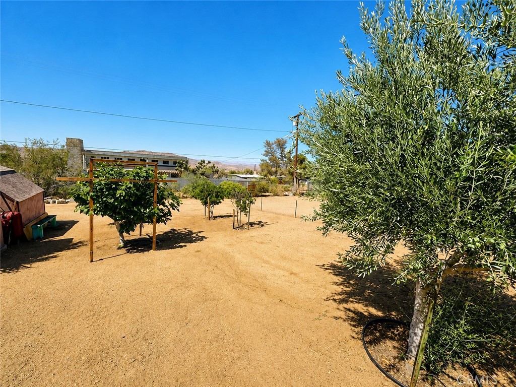 60424 Pueblo Property Photo 10