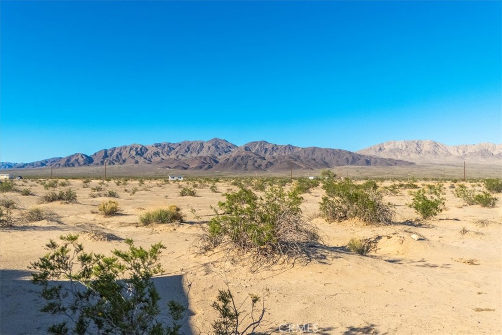 84753 Eddie Albert Property Photo 28