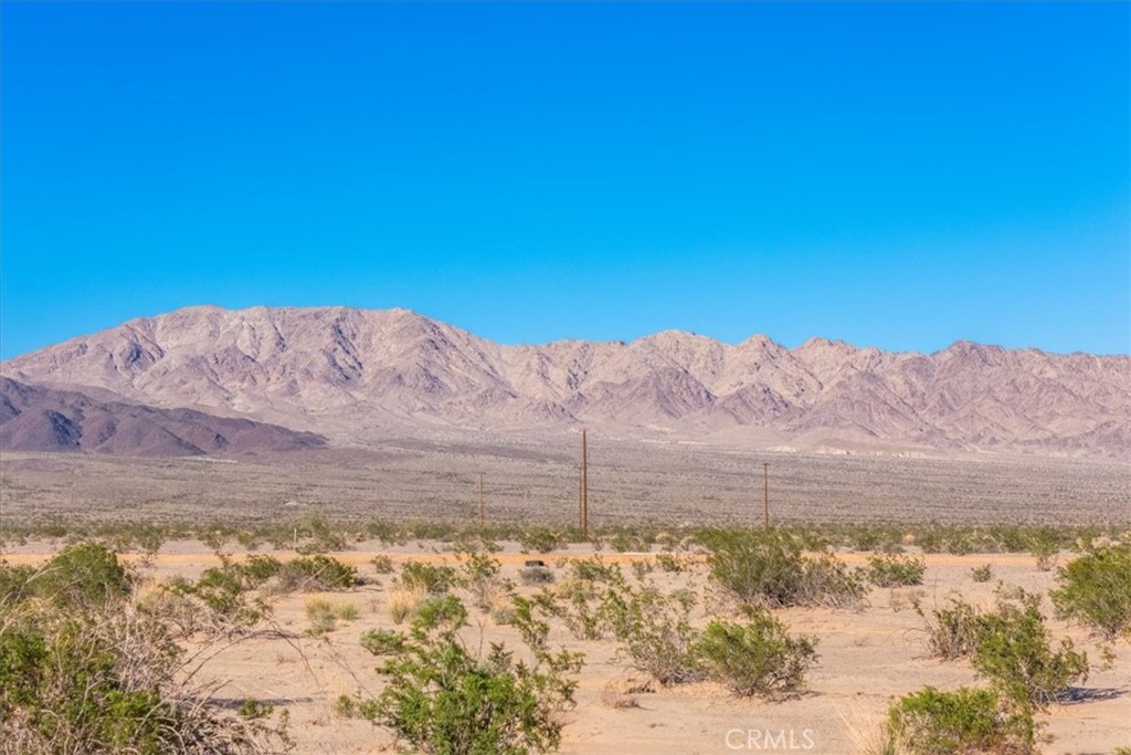 84753 Eddie Albert Property Photo 29