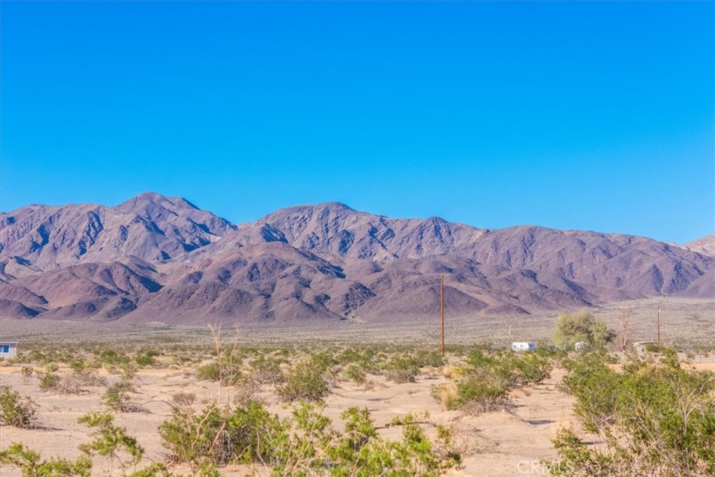 84753 Eddie Albert Property Photo 30