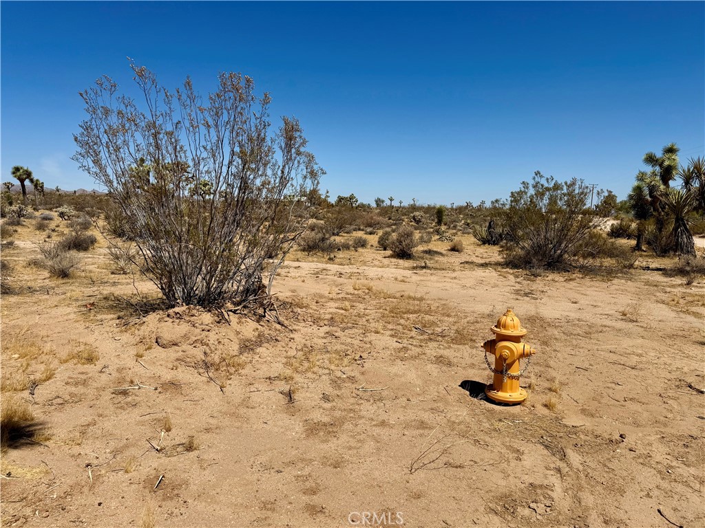 2858 Balsa Avenue Property Photo 2