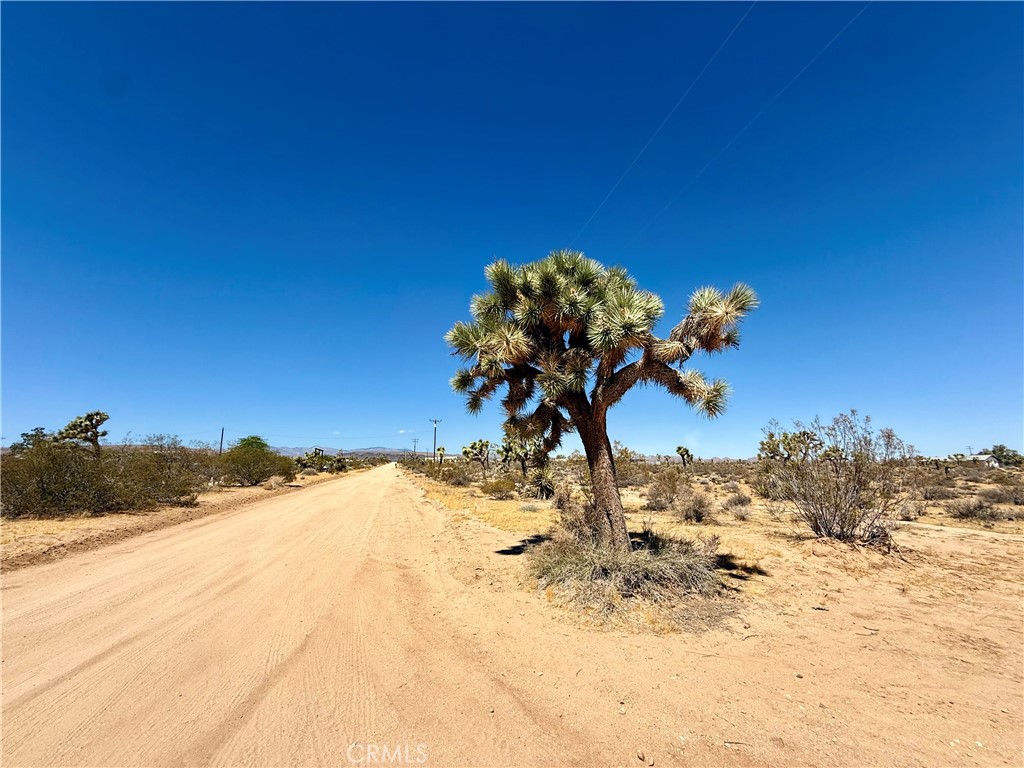 2858 Balsa Avenue Property Photo 4