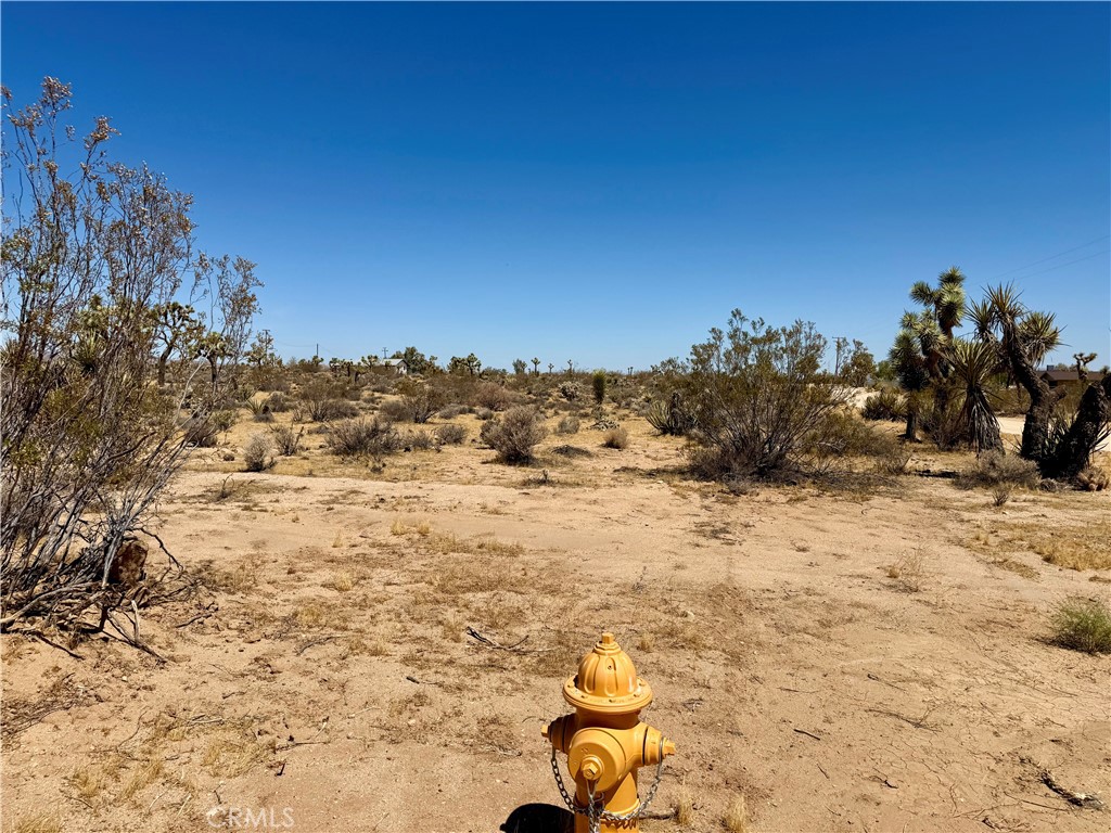 2858 Balsa Avenue Property Photo 8