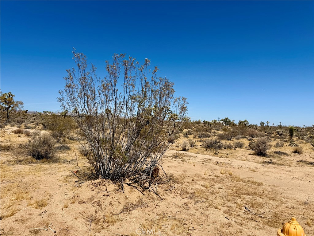 2858 Balsa Avenue Property Photo 9