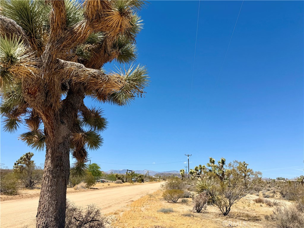 2858 Balsa Avenue Property Photo 10