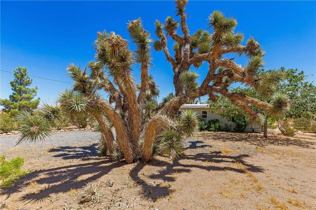 56713 Lowe Property Photo 6