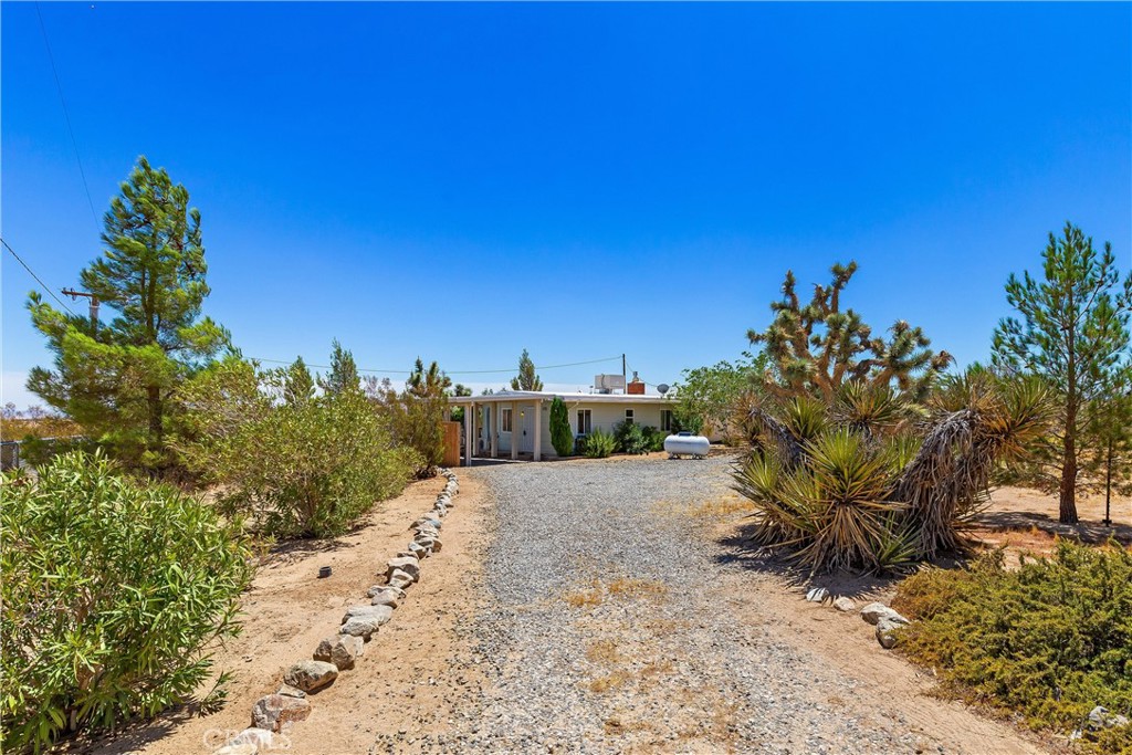 56713 Lowe Property Photo 7