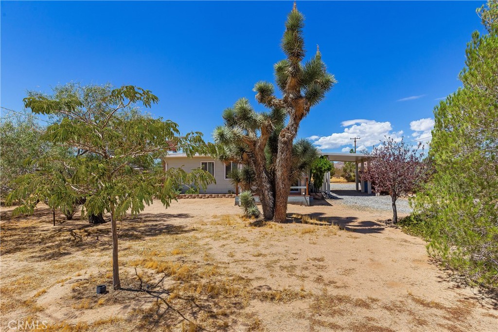 56713 Lowe Property Photo 12