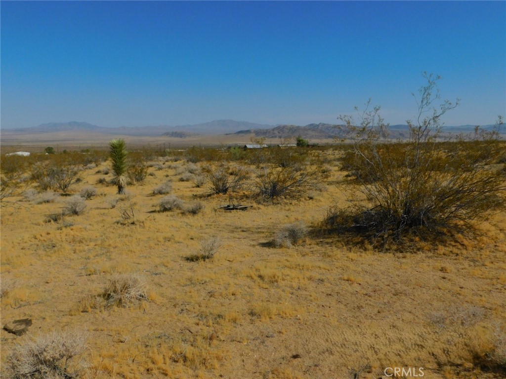 0 Cholla Property Photo 20
