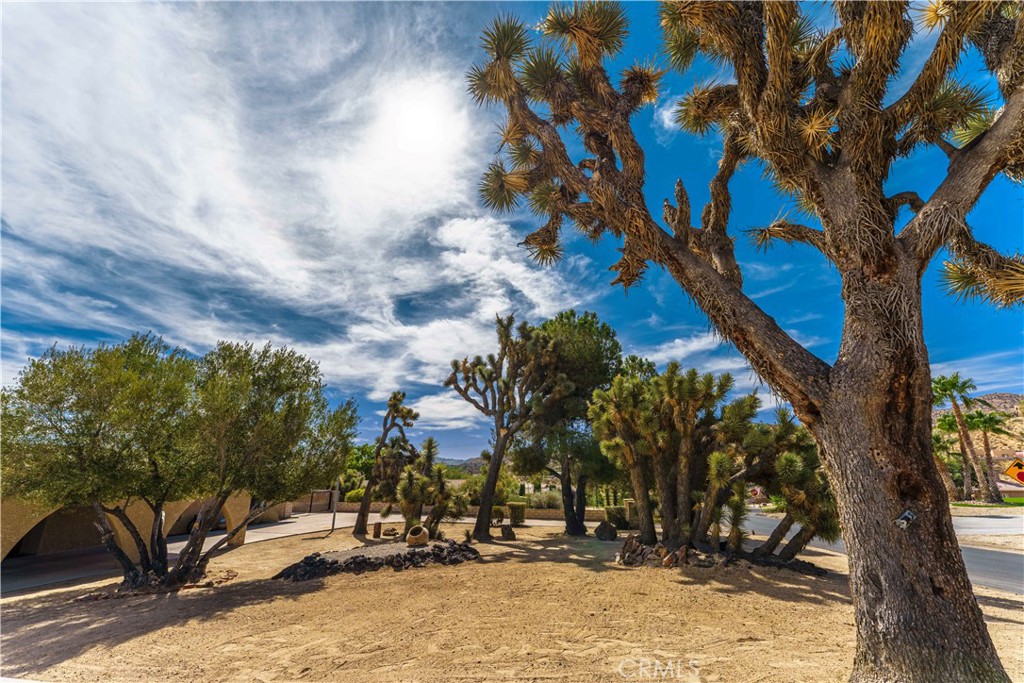 7569 San Remo Property Photo 39
