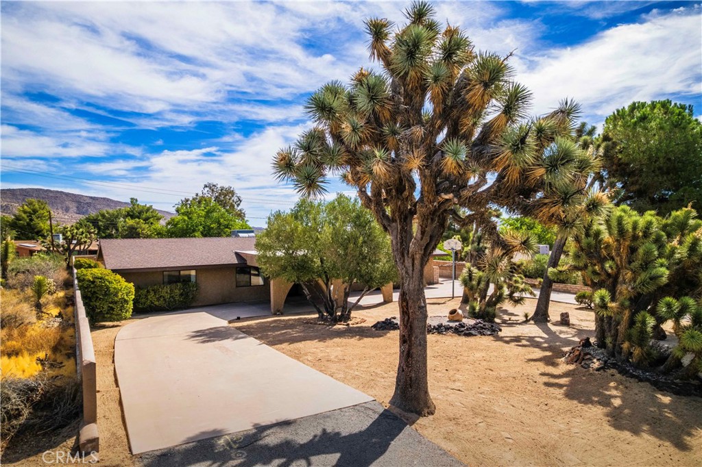 7569 San Remo Property Photo 41