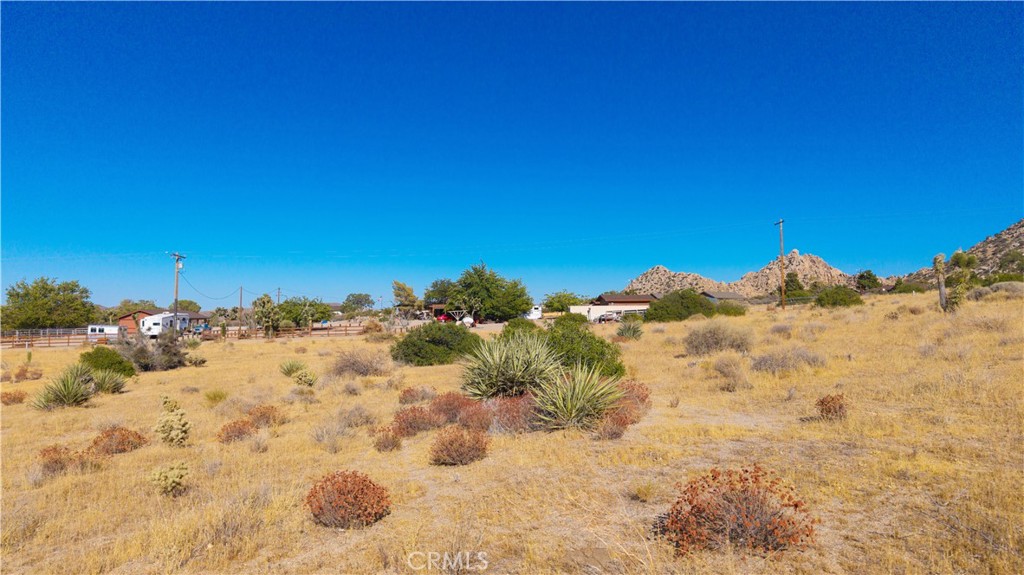 5525 Minna Gombell Lane Property Photo 6
