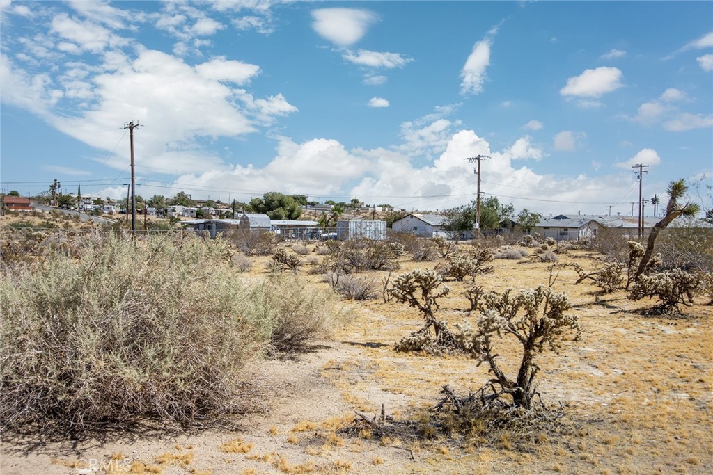 61900 Verbena Road Property Photo 6