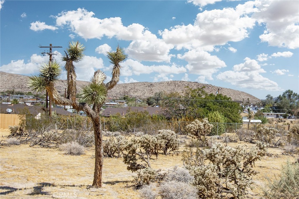 61900 Verbena Road Property Photo 8