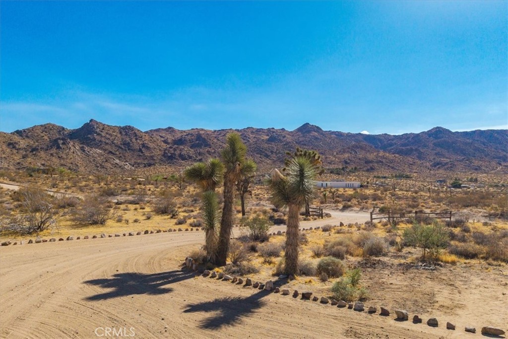 8715 Desert Shadows Road Property Photo 53