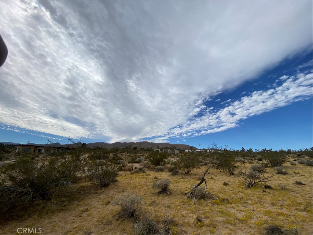 0 Saddleback Road Property Photo 1