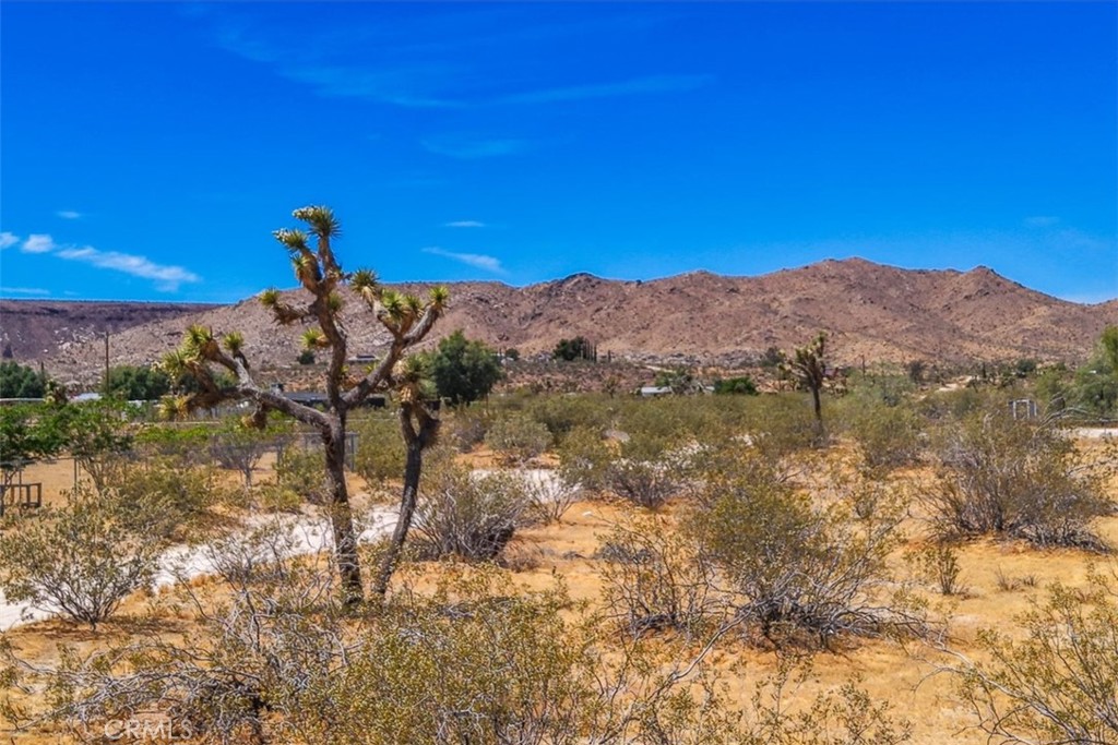 55926 Tananger Road Property Photo 1