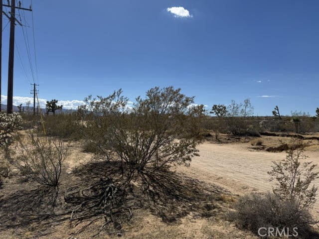 1234 Alta Avenue Property Photo 2