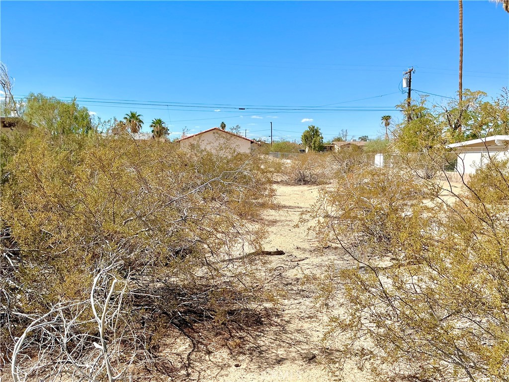 0 Abronia Avenue Property Photo 5