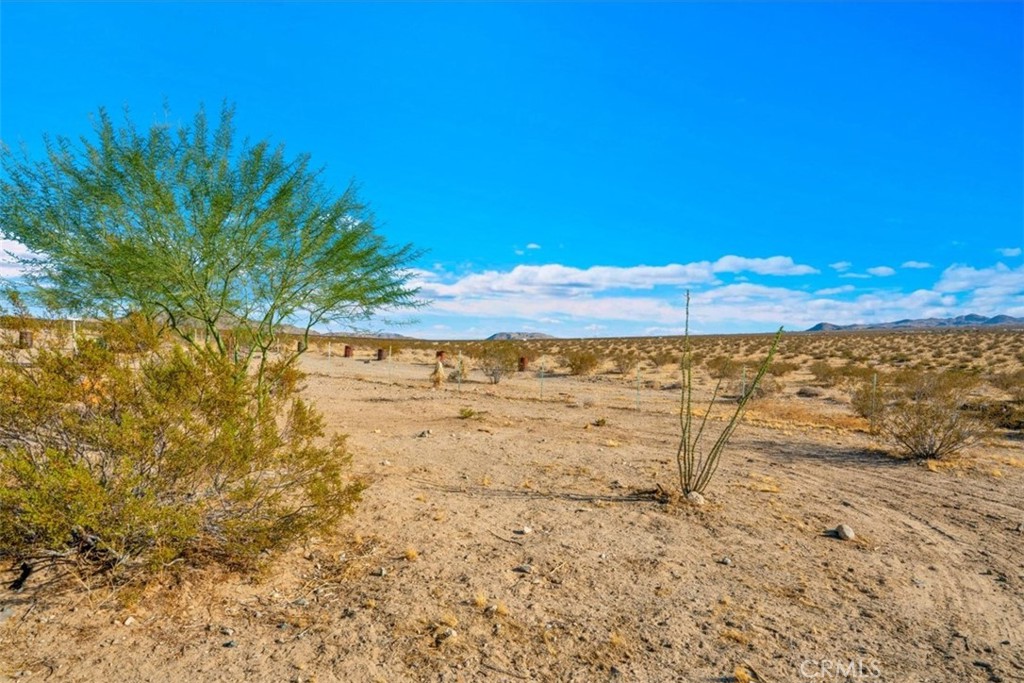 54574 Caspers Road Property Photo 36