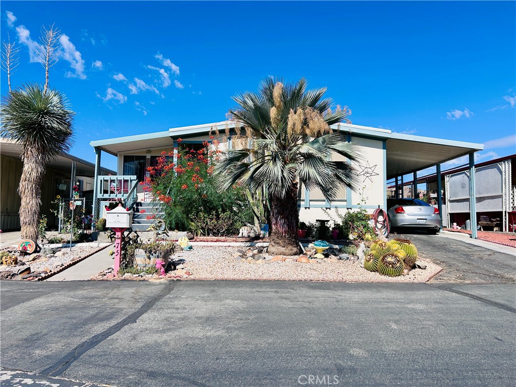 56254 29 Palms SPC 75 Property Photo 1