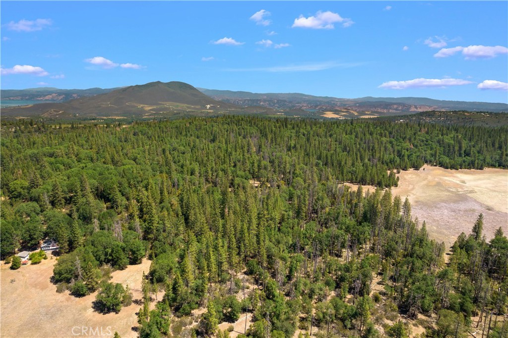 6736 Harrington Flat Road Property Photo 1