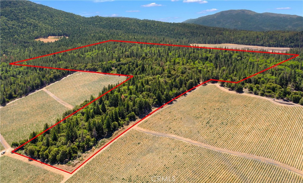 6736 Harrington Flat Road Property Photo 2