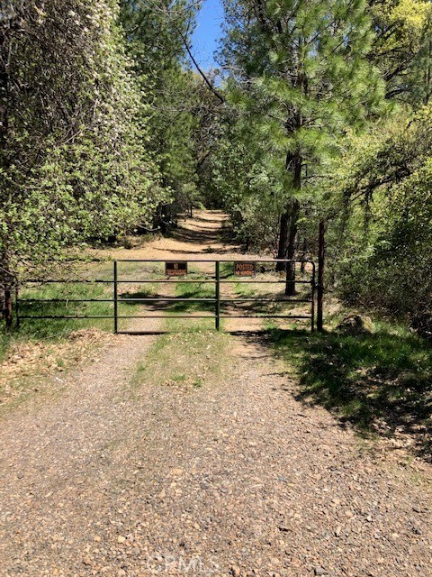 6736 Harrington Flat Road Property Photo 3