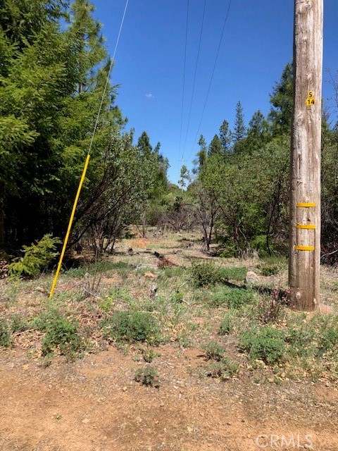 6736 Harrington Flat Road Property Photo 6