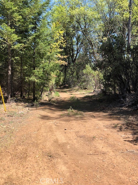 6736 Harrington Flat Road Property Photo 7