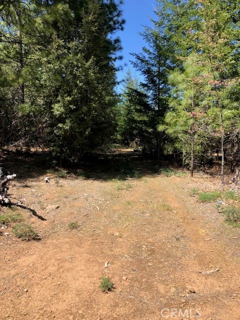 6736 Harrington Flat Road Property Photo 8