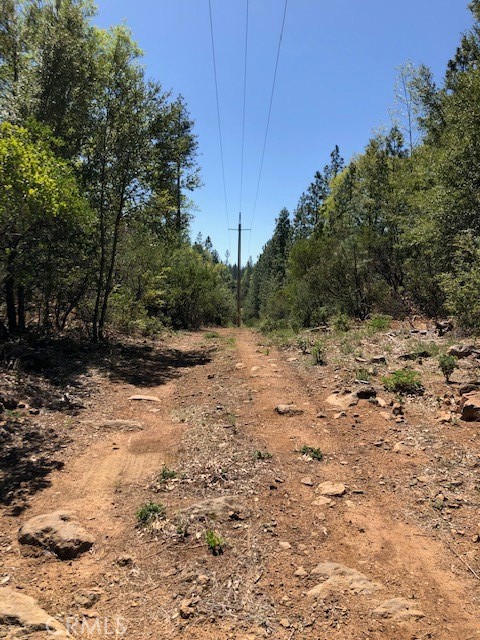 6736 Harrington Flat Road Property Photo 9