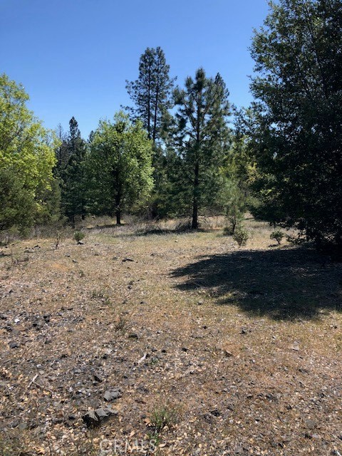 6736 Harrington Flat Road Property Photo 11