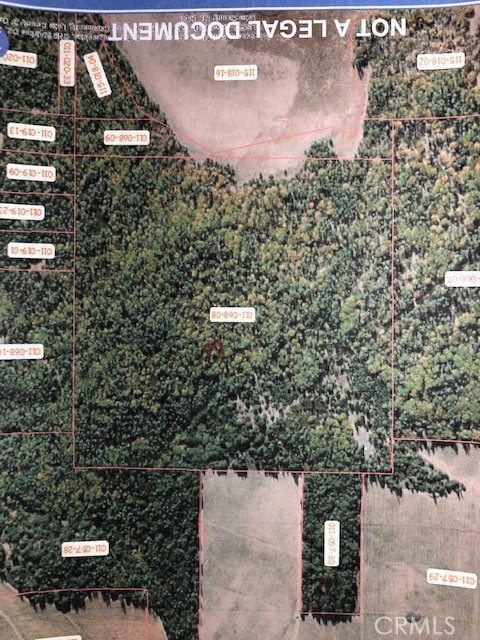 6736 Harrington Flat Road Property Photo 13