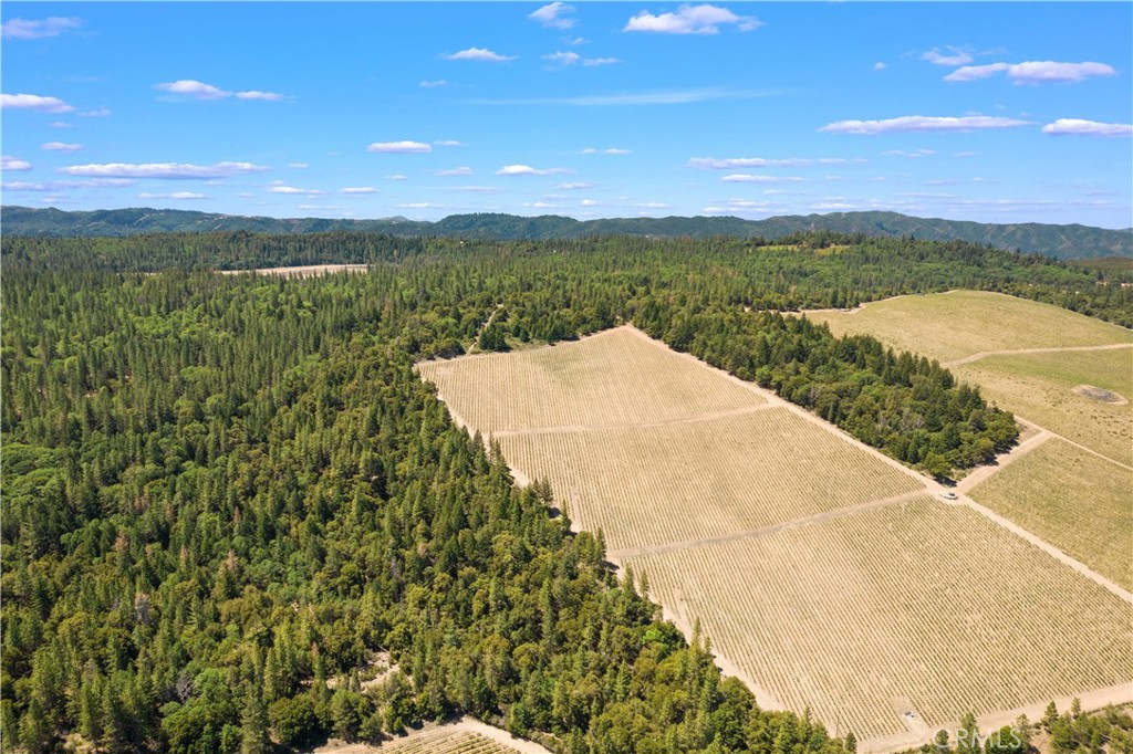 6736 Harrington Flat Road Property Photo 15
