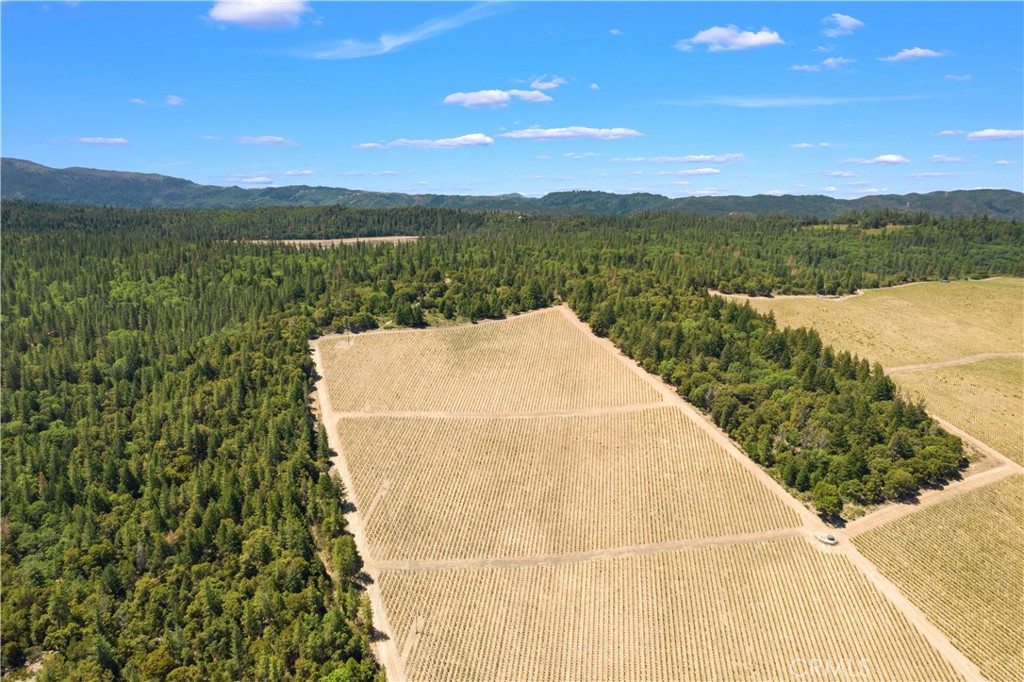 6736 Harrington Flat Road Property Photo 16