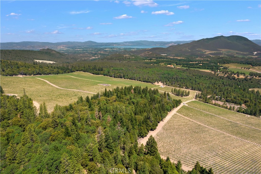 6736 Harrington Flat Road Property Photo 17