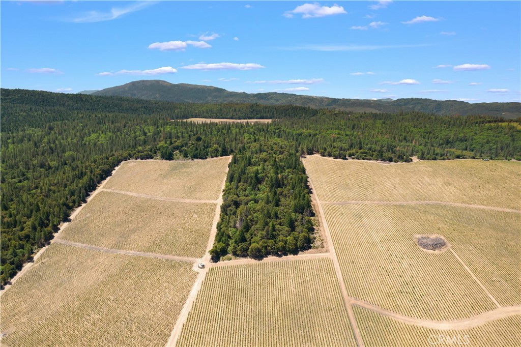 6736 Harrington Flat Road Property Photo 18