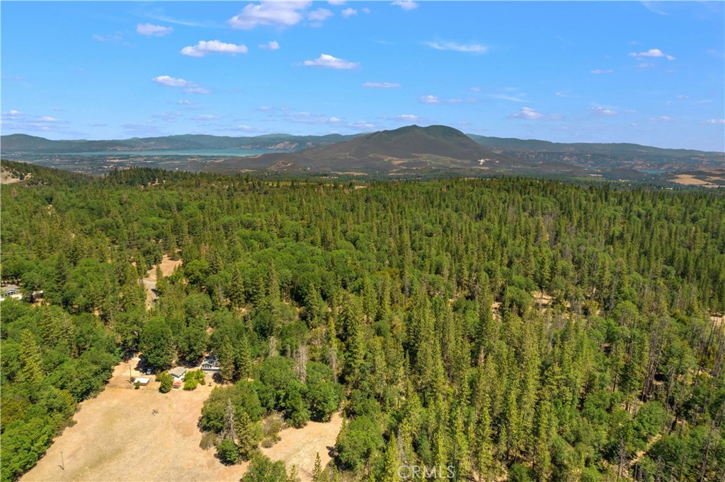6736 Harrington Flat Road Property Photo 19