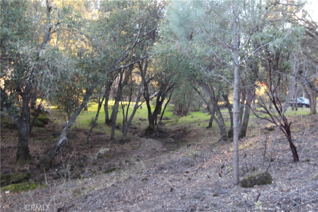 6157 Armijo Avenue Property Photo 5