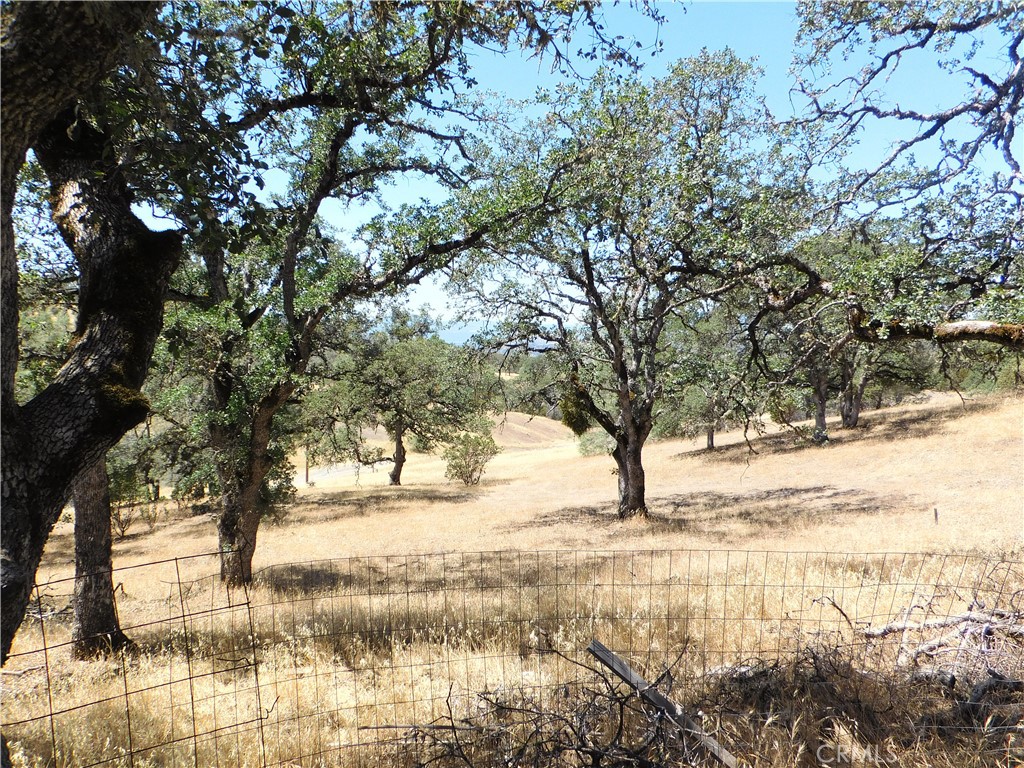 997 Watertrough Rd Property Photo 7