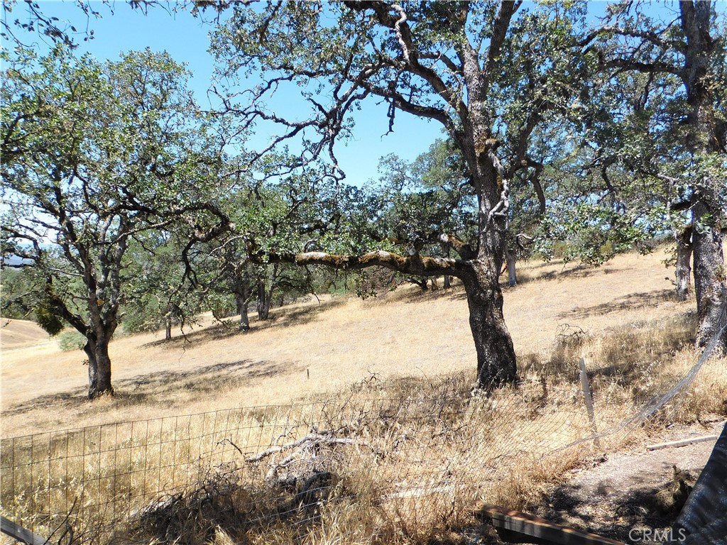 997 Watertrough Rd Property Photo 8