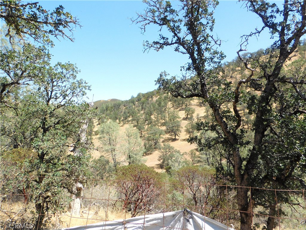 997 Watertrough Rd Property Photo 10